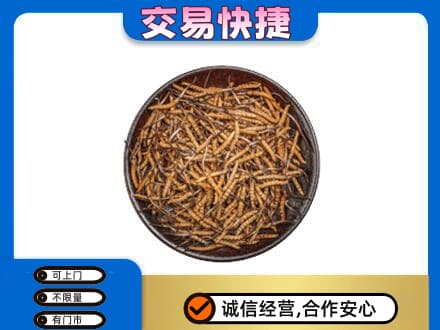 泰州高价回收散虫草